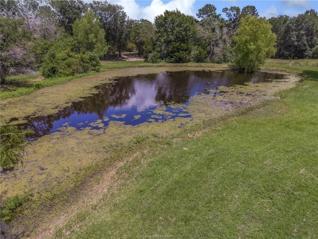 13 acres in Grimes County - photo 33