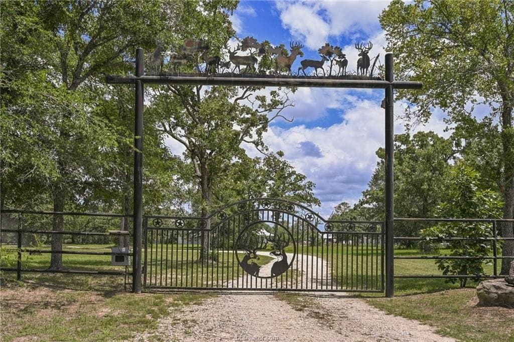 13 acres in Grimes County - photo 8