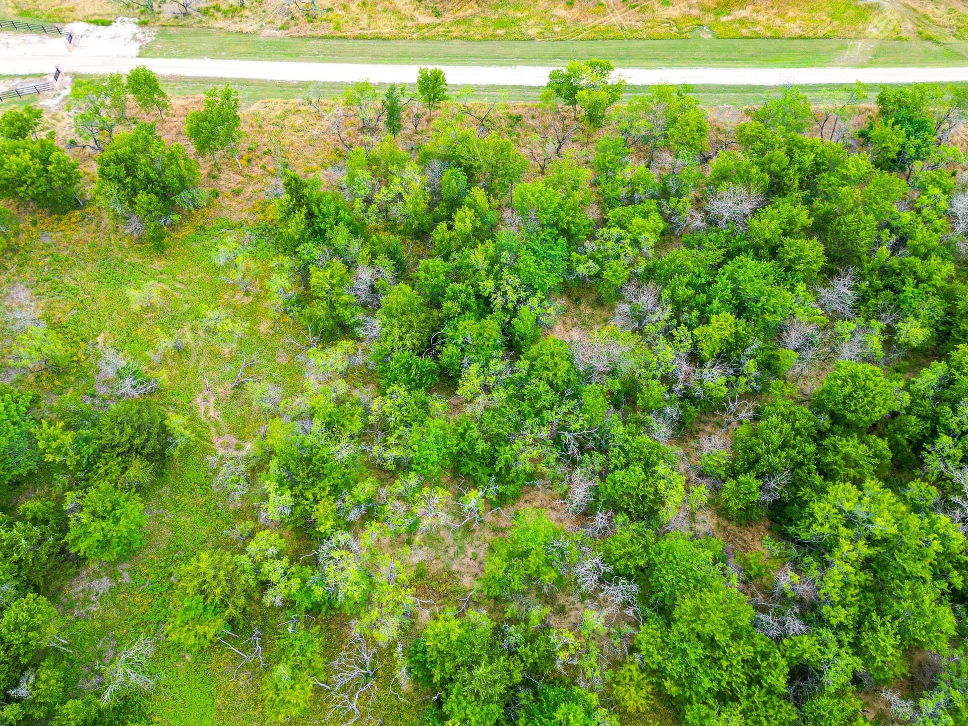 2.26 acres in Navarro County - photo 2