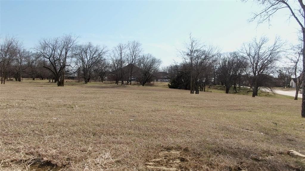 1.03 acres in Dallas County gallery image 3
