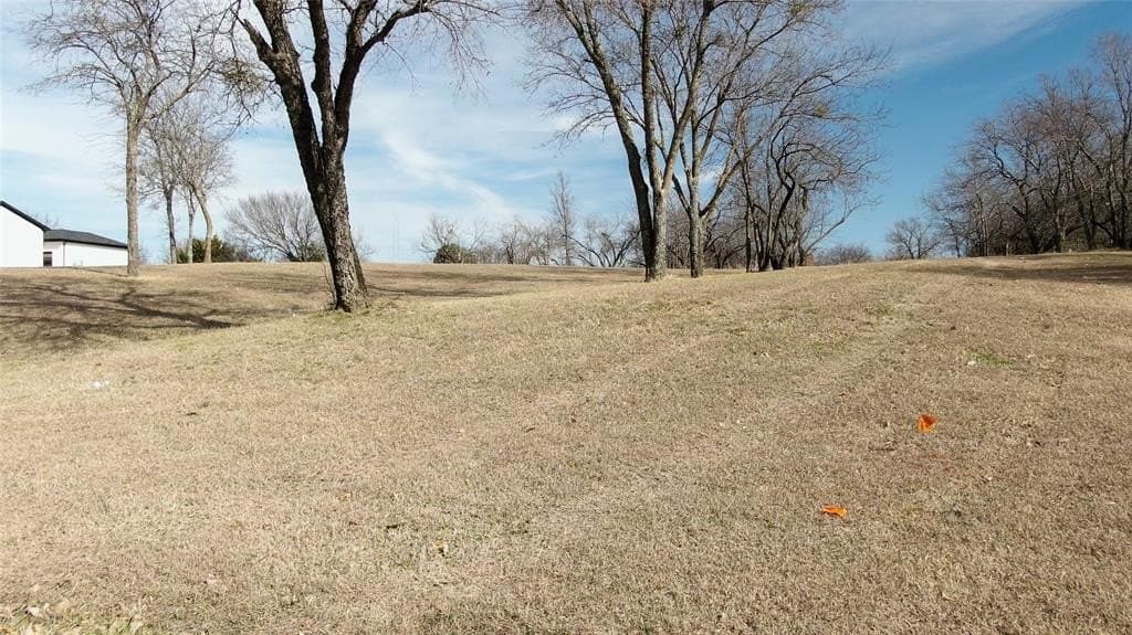 1.03 acres in Dallas County gallery image 2
