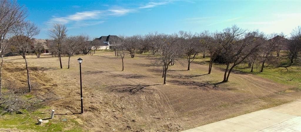 1.03 acres in Dallas County gallery image 4