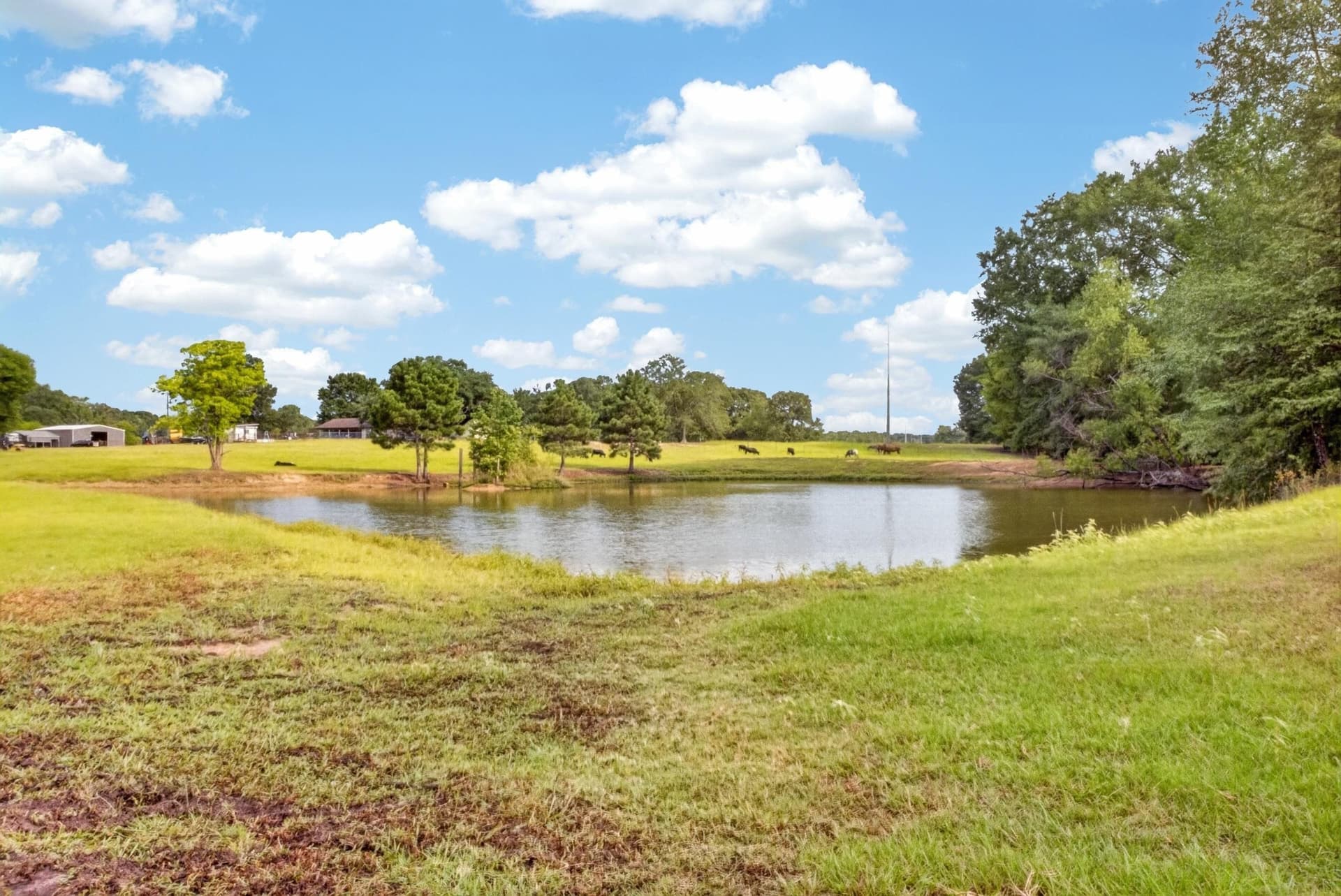 26.7 acres in Upshur County - photo 37