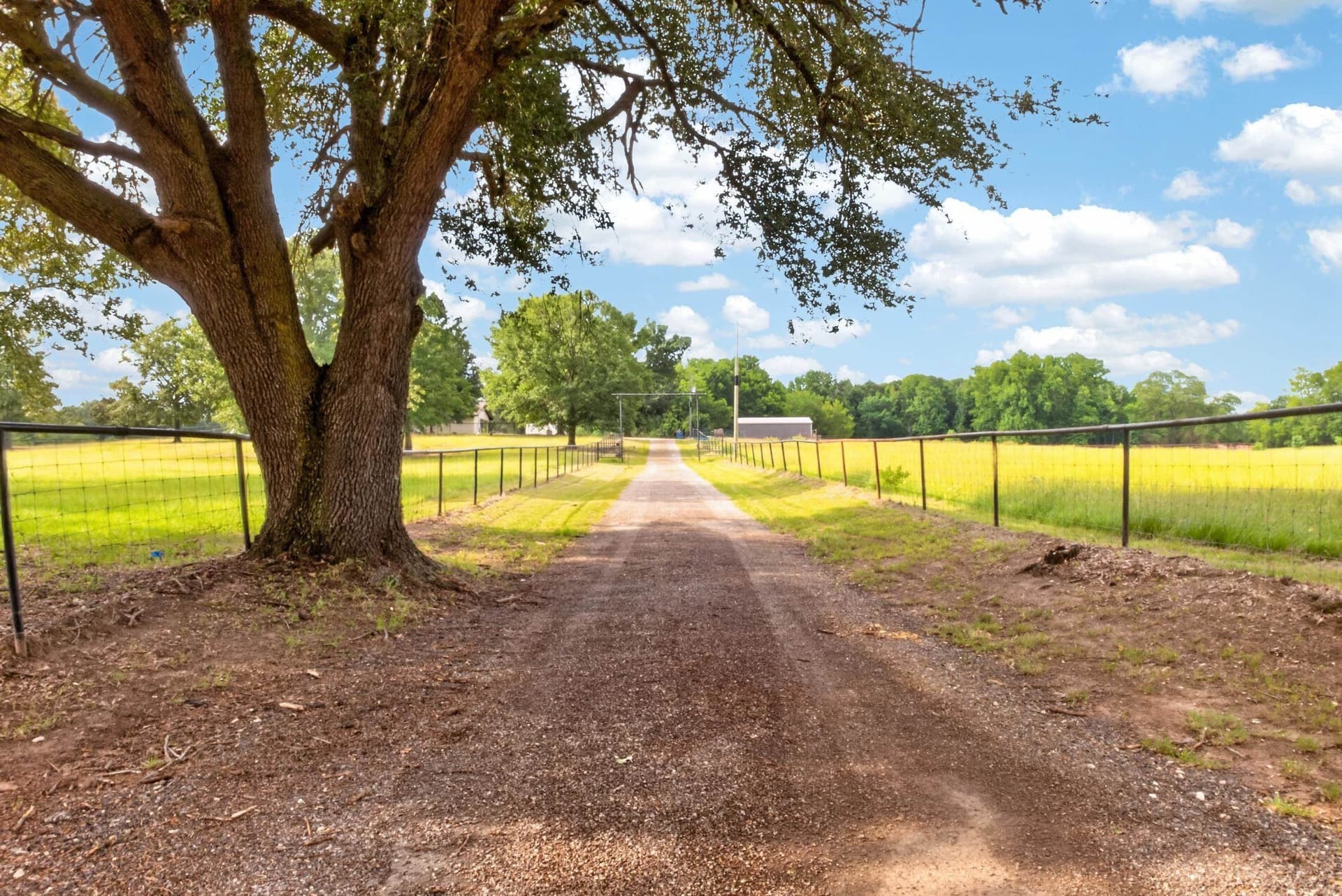 26.7 acres in Upshur County - photo 33