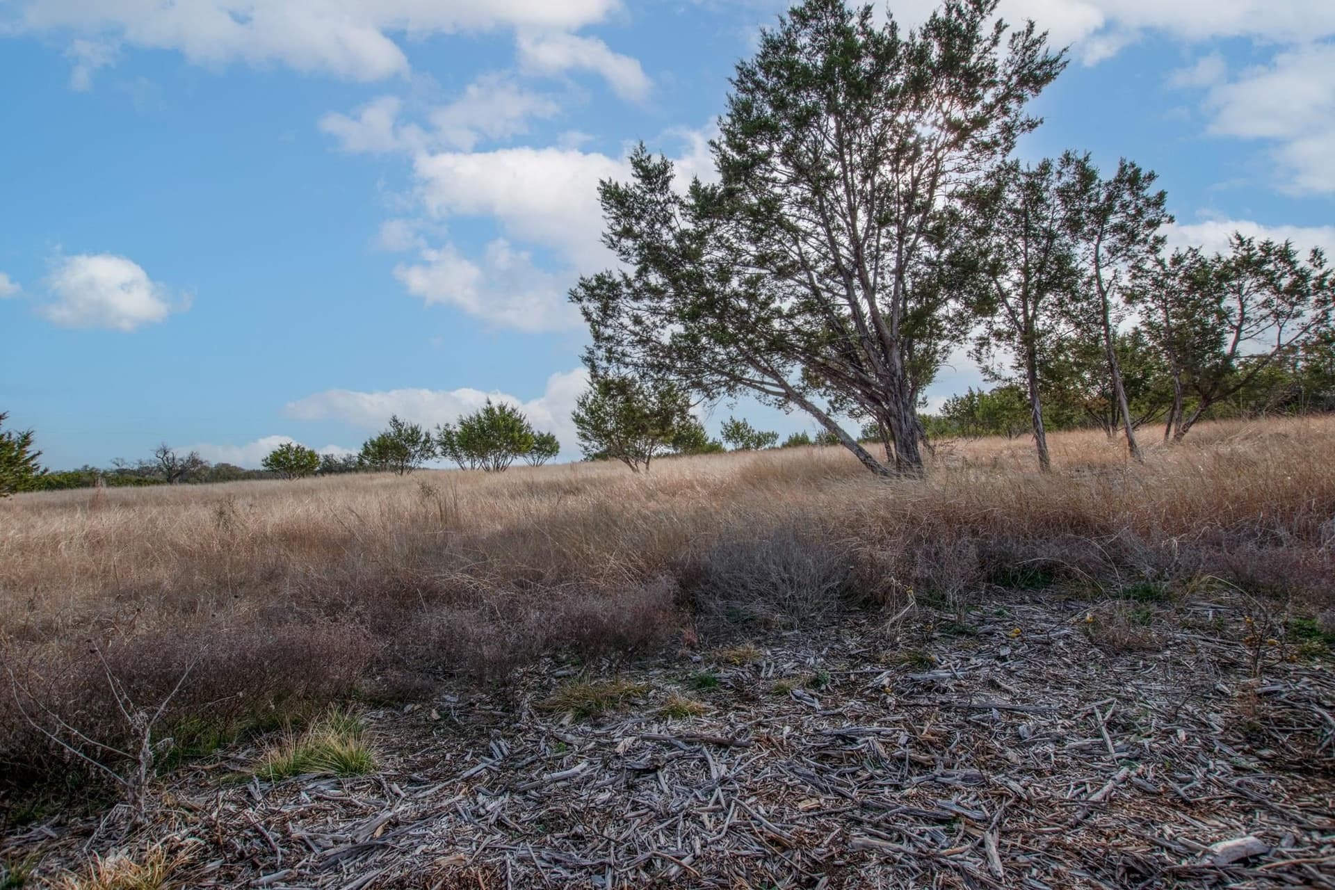 5 acres in Burnet County - photo 8
