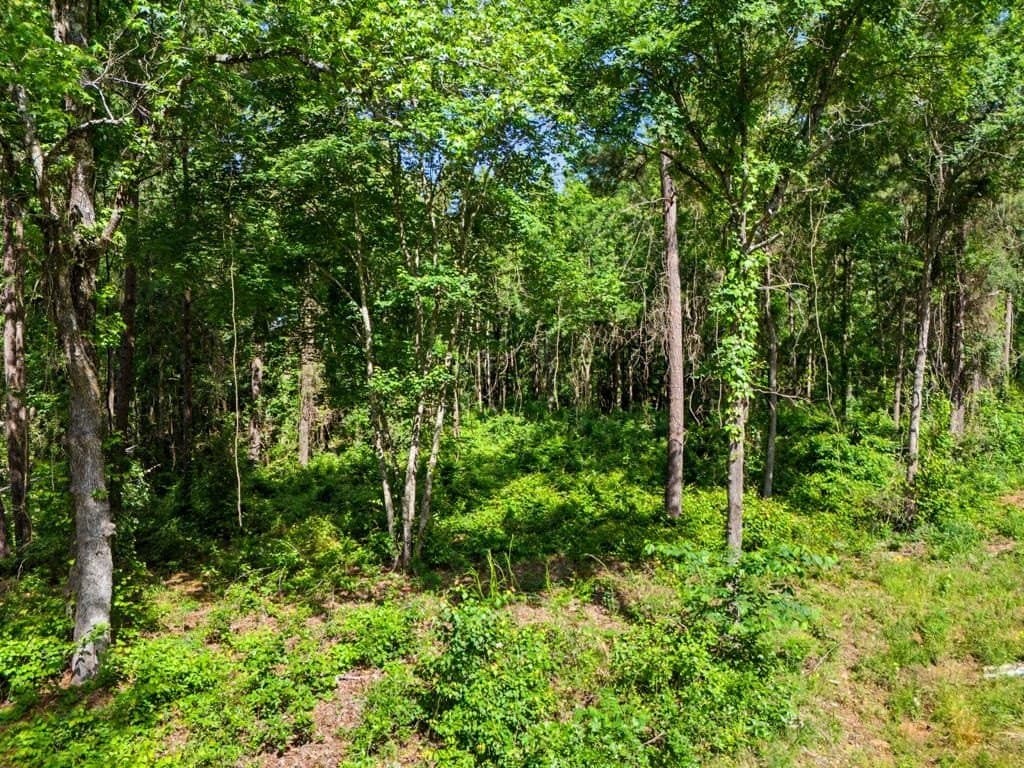 2.25 acres in Upshur County featured view