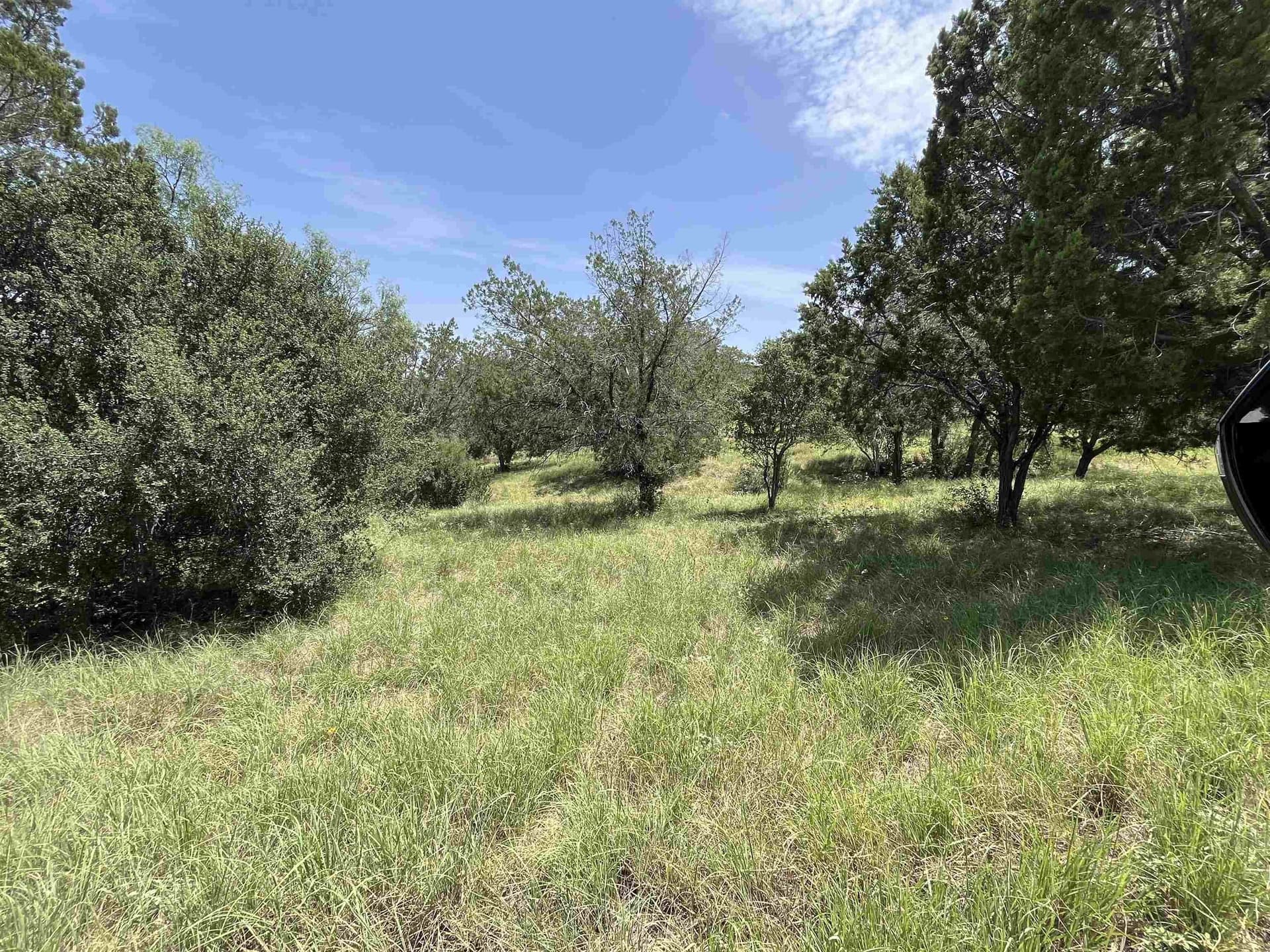 0.25 acres in Llano County - photo 8