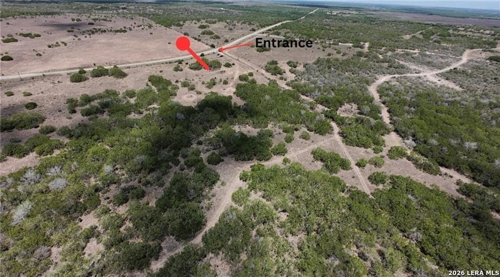 10.45 acres in Live Oak County gallery image 3