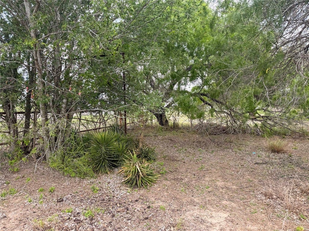0.42 acres in Live Oak County gallery image 3