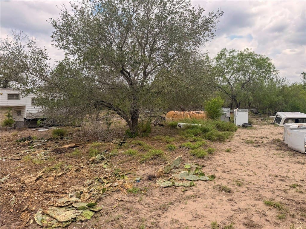 0.42 acres in Live Oak County gallery image 4