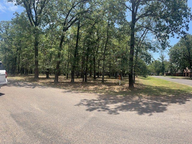 0.48 acres in Henderson County - photo 6