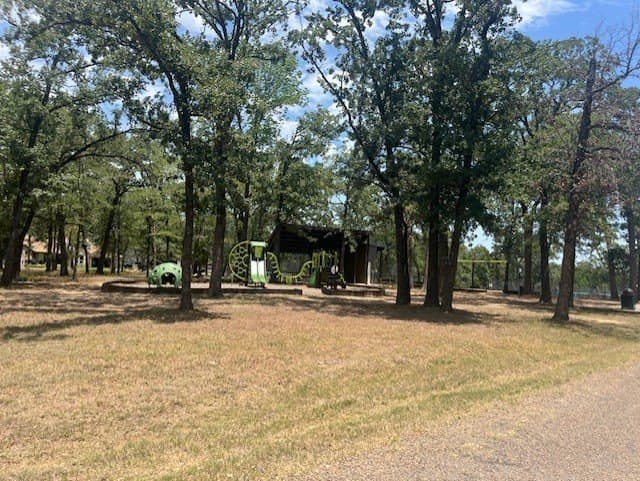 0.48 acres in Henderson County - photo 5