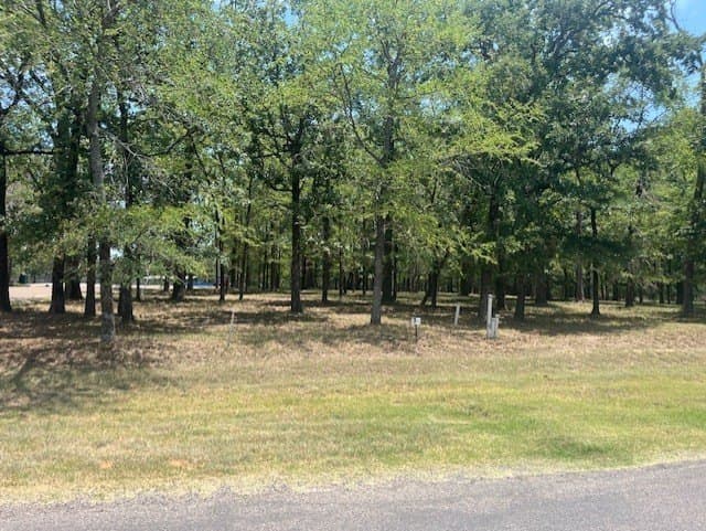 0.48 acres in Henderson County - photo 2