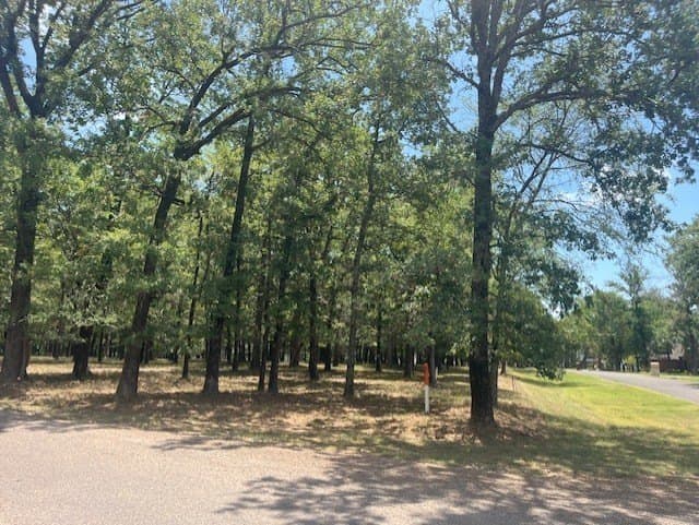 0.48 acres in Henderson County - photo 3