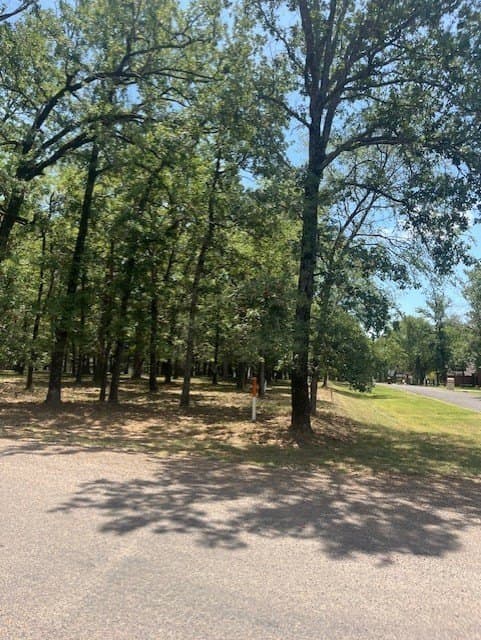 0.48 acres in Henderson County - photo 4