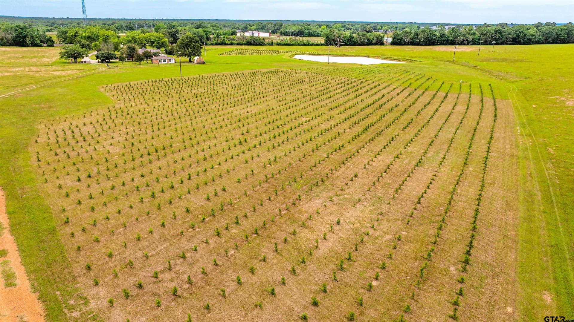 45 acres in Anderson County - photo 46