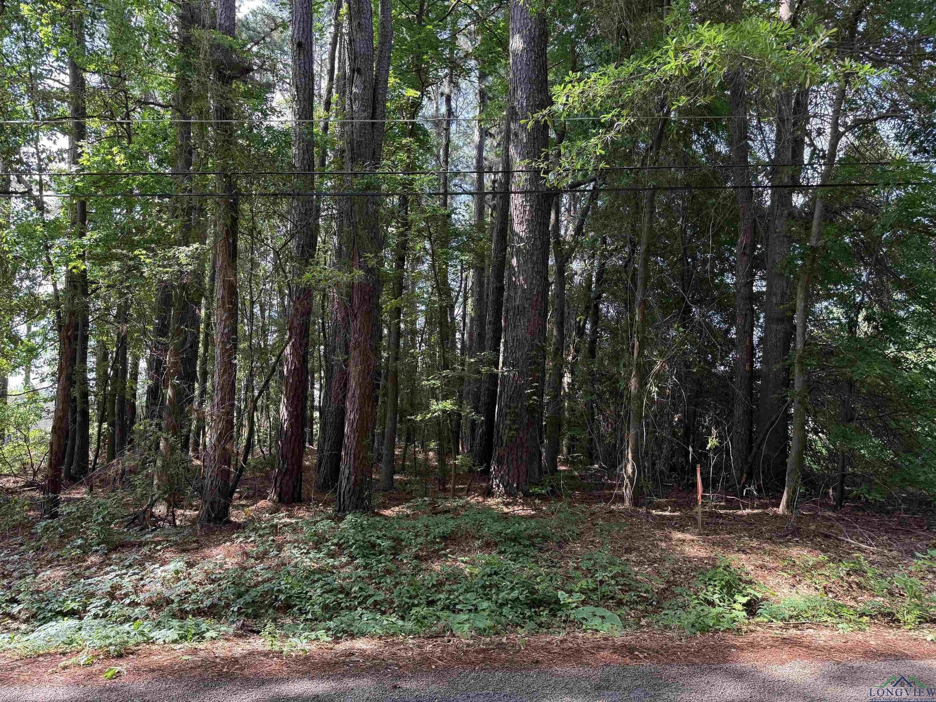 0.42 acres in Gregg County gallery image 2