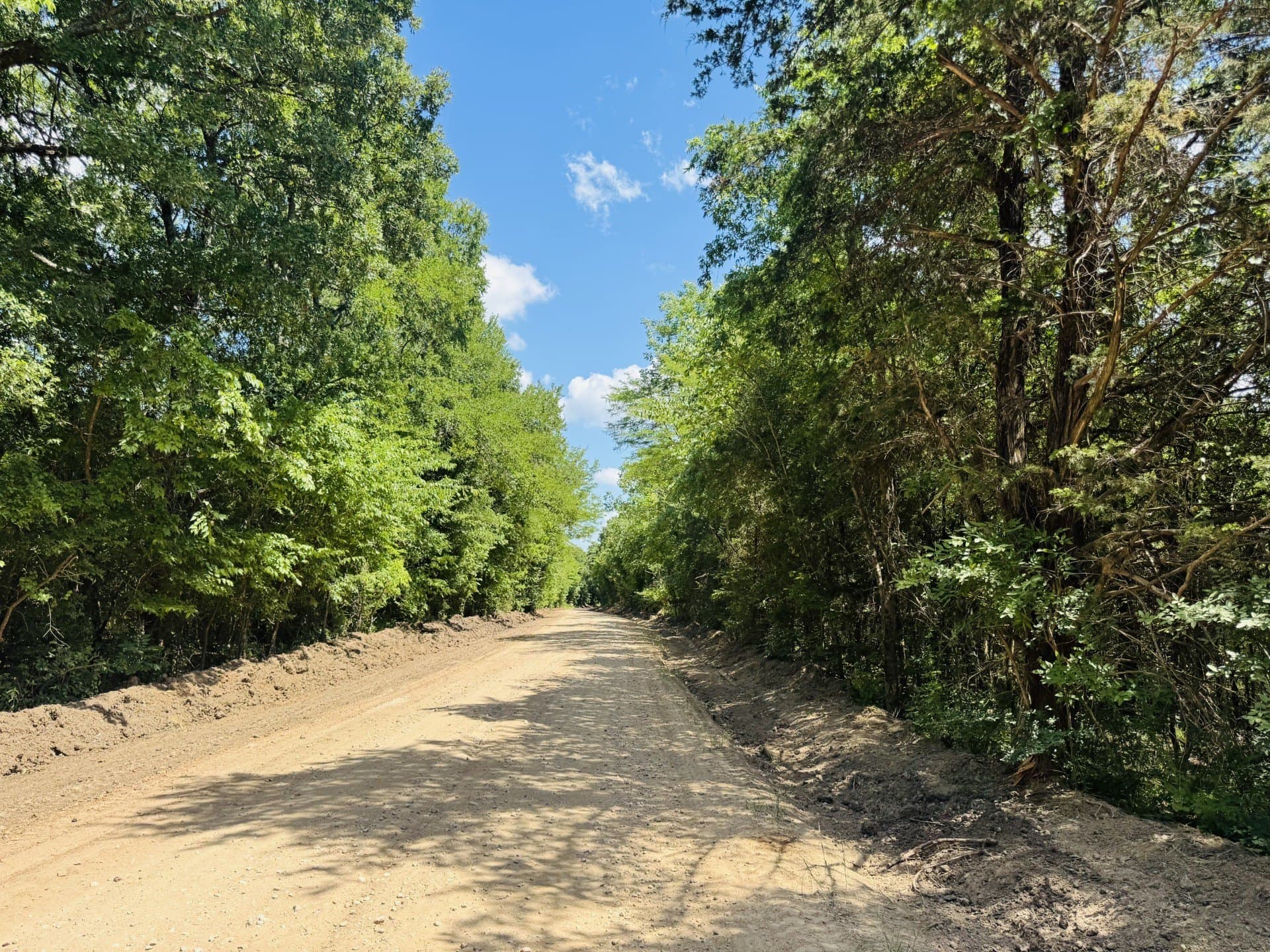 20.23 acres in Lamar County - photo 9