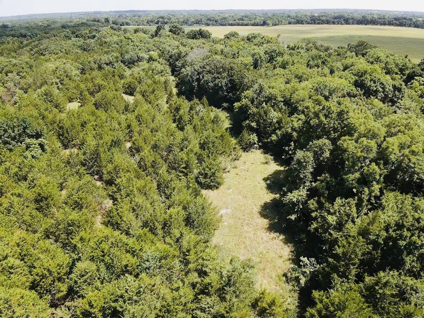 20.23 acres in Lamar County - photo 3