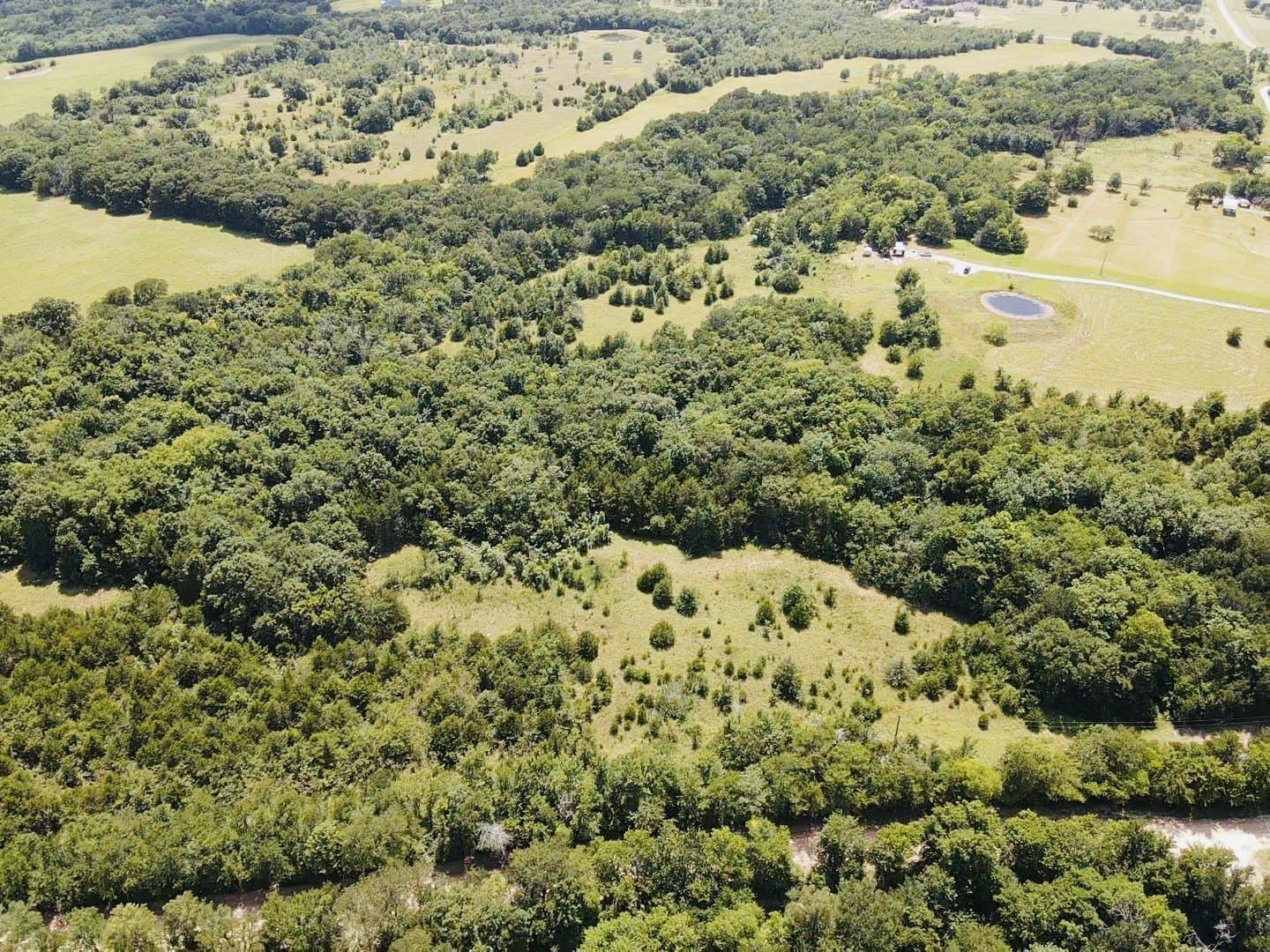 20.23 acres in Lamar County - photo 6