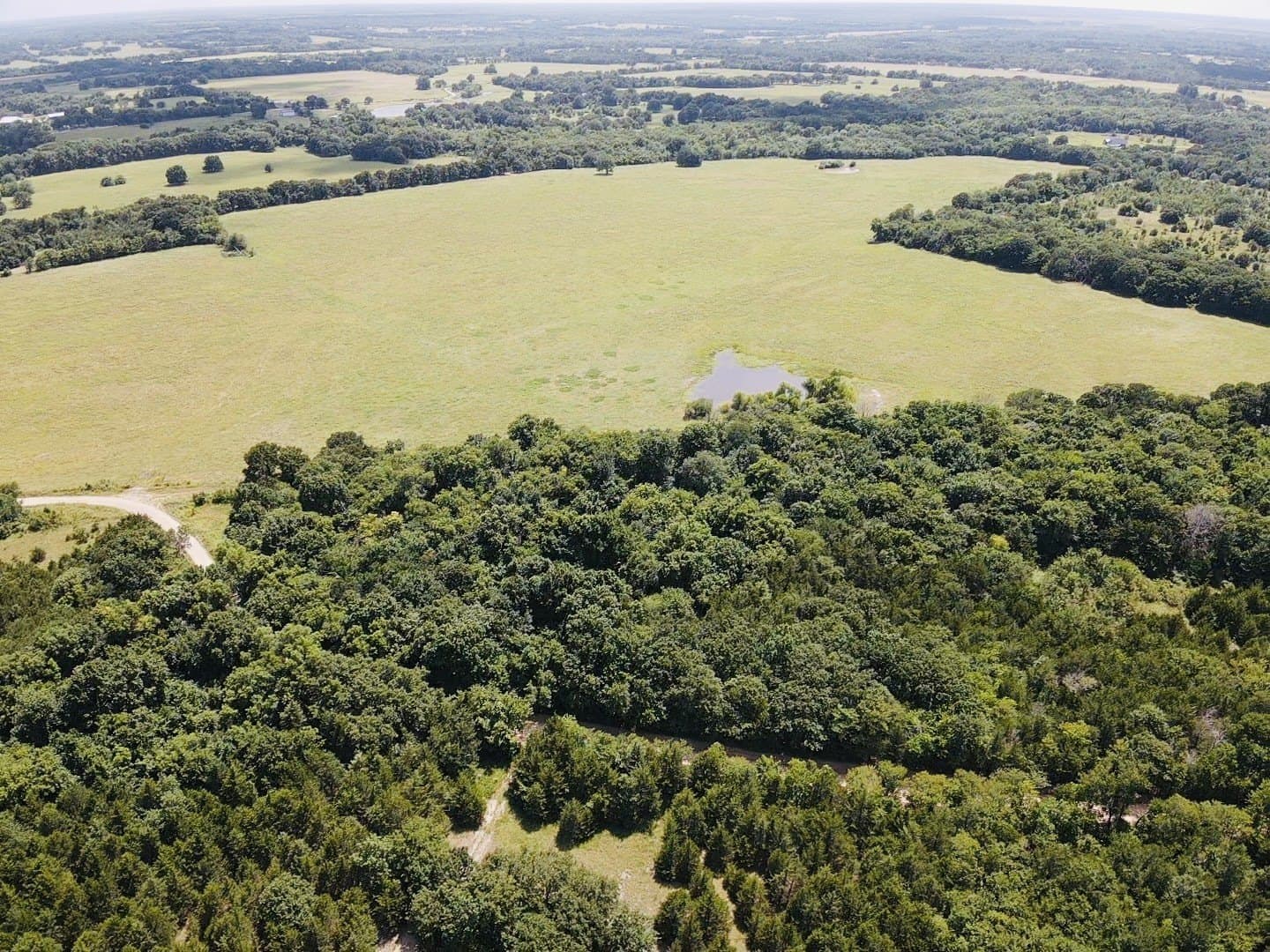 20.23 acres in Lamar County - photo 8