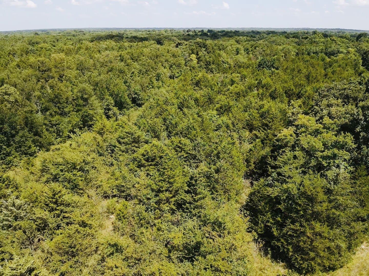 20.23 acres in Lamar County - photo 4