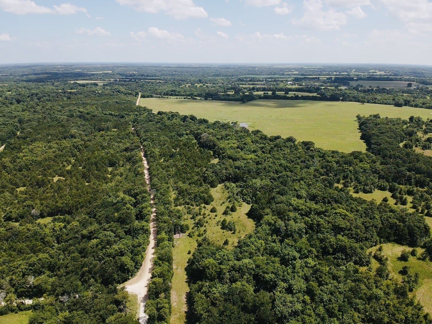 20.23 acres in Lamar County - photo 5
