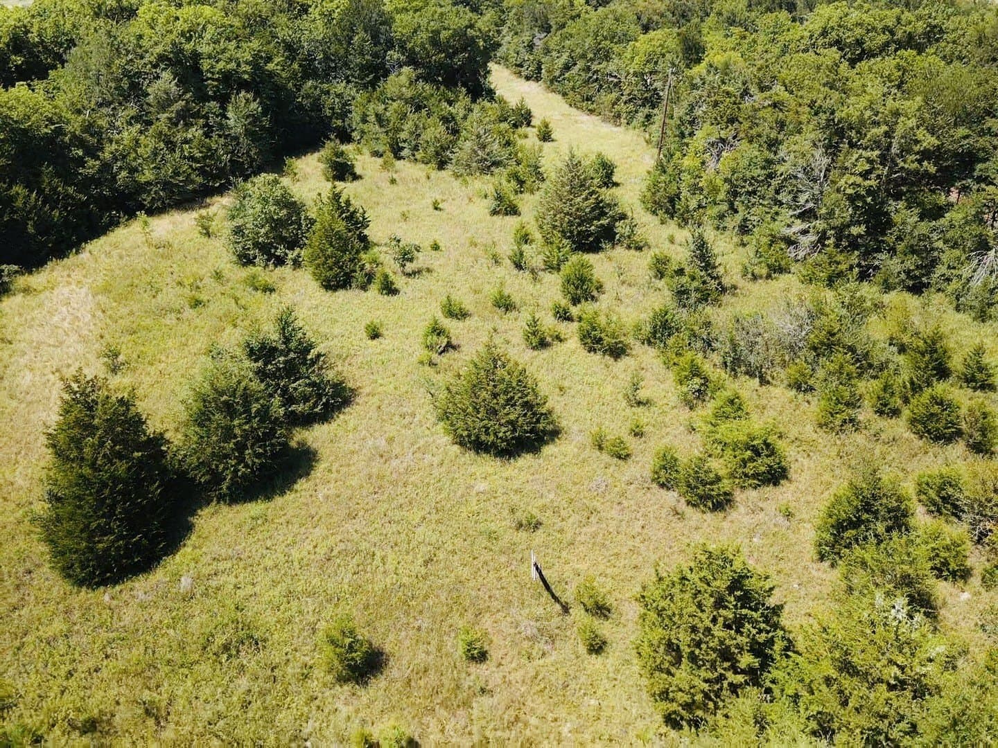 20.23 acres in Lamar County - photo 2