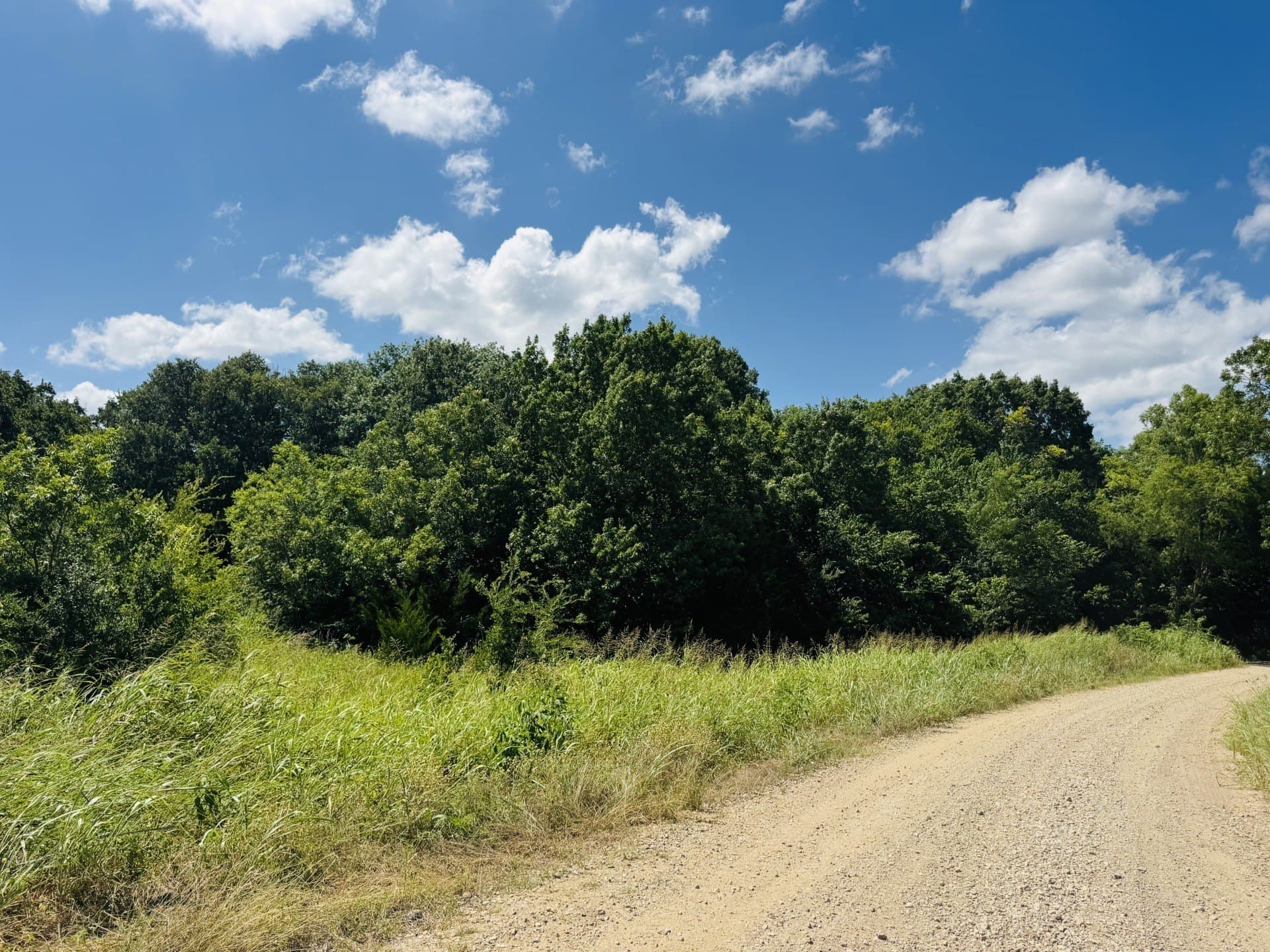 20.23 acres in Lamar County - photo 10