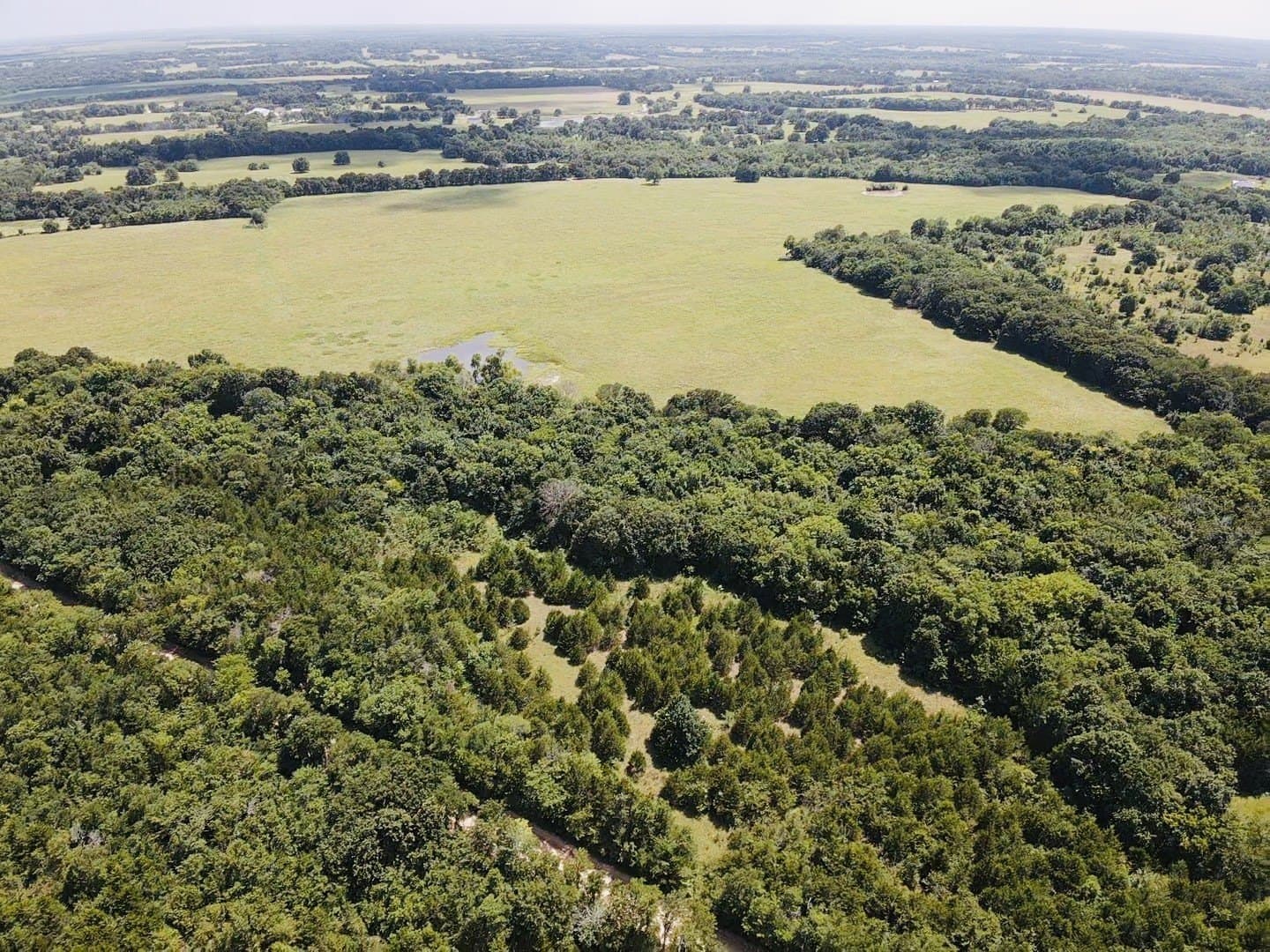 20.23 acres in Lamar County - photo 7