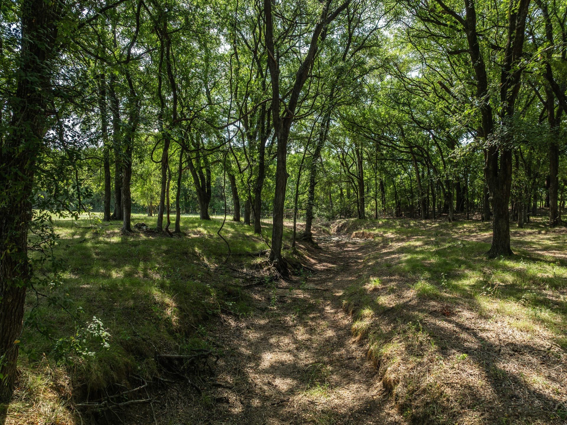 6 acres in Hill County - photo 5