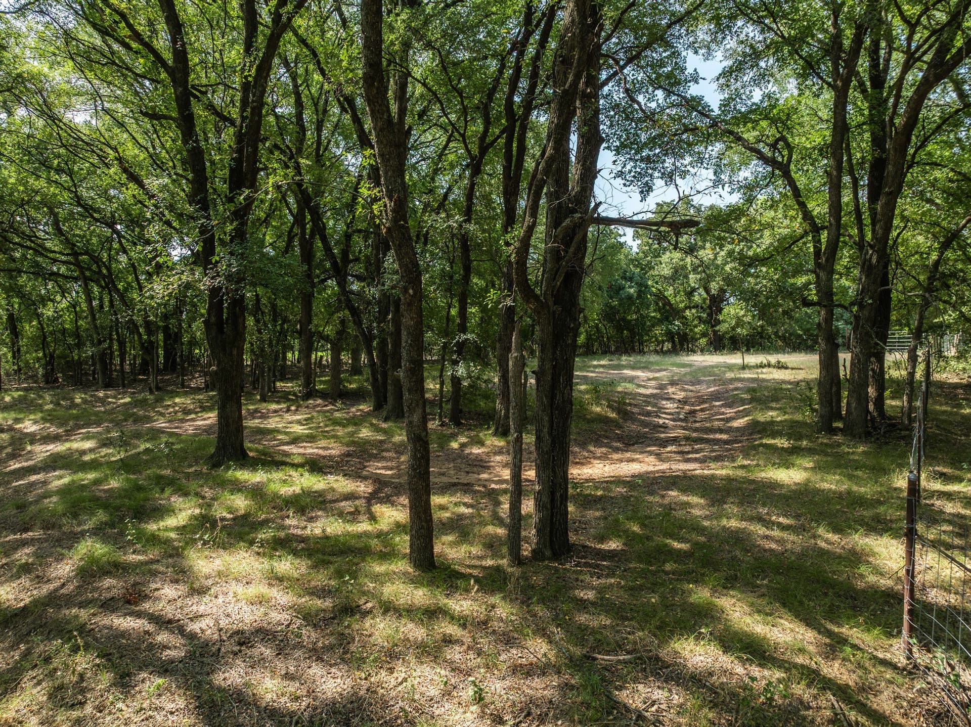 6 acres in Hill County - photo 12