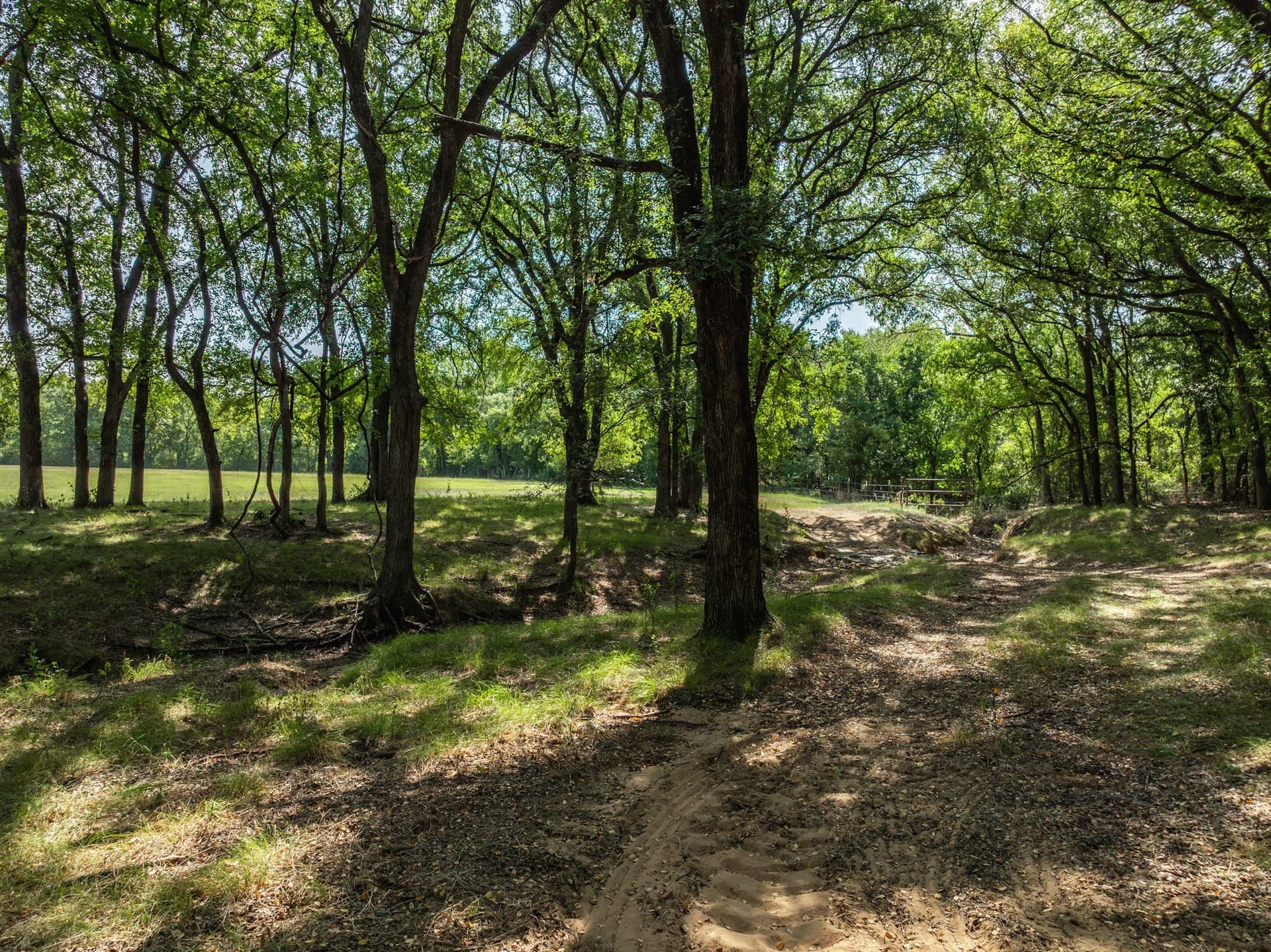 6 acres in Hill County - photo 4