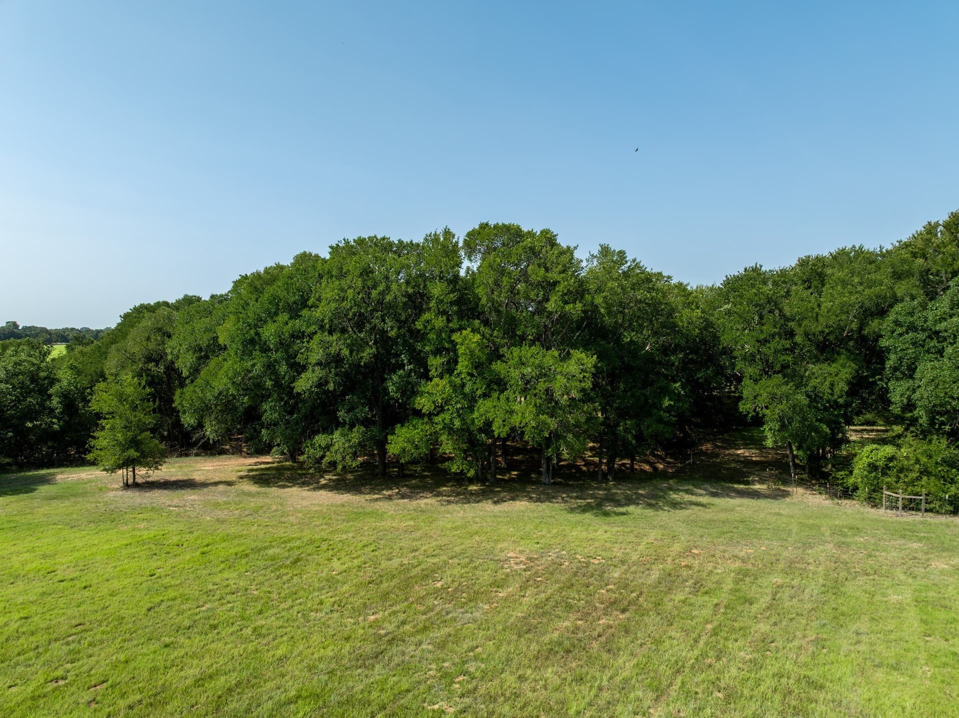 6 acres in Hill County - photo 6
