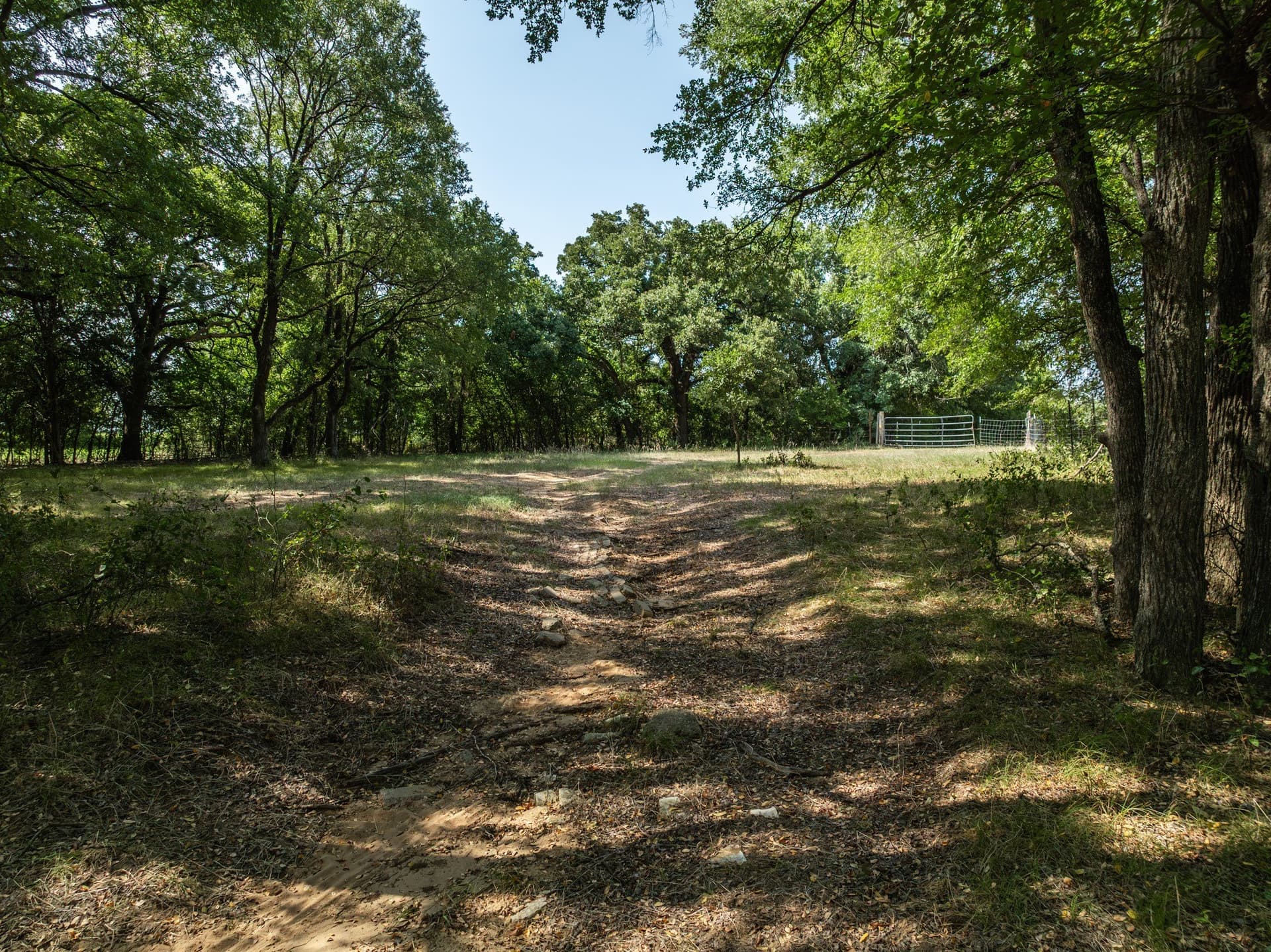 6 acres in Hill County - photo 3