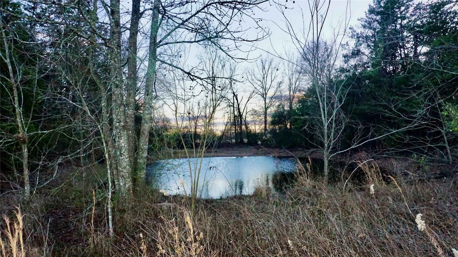 22.76 acres in Wood County - photo 7