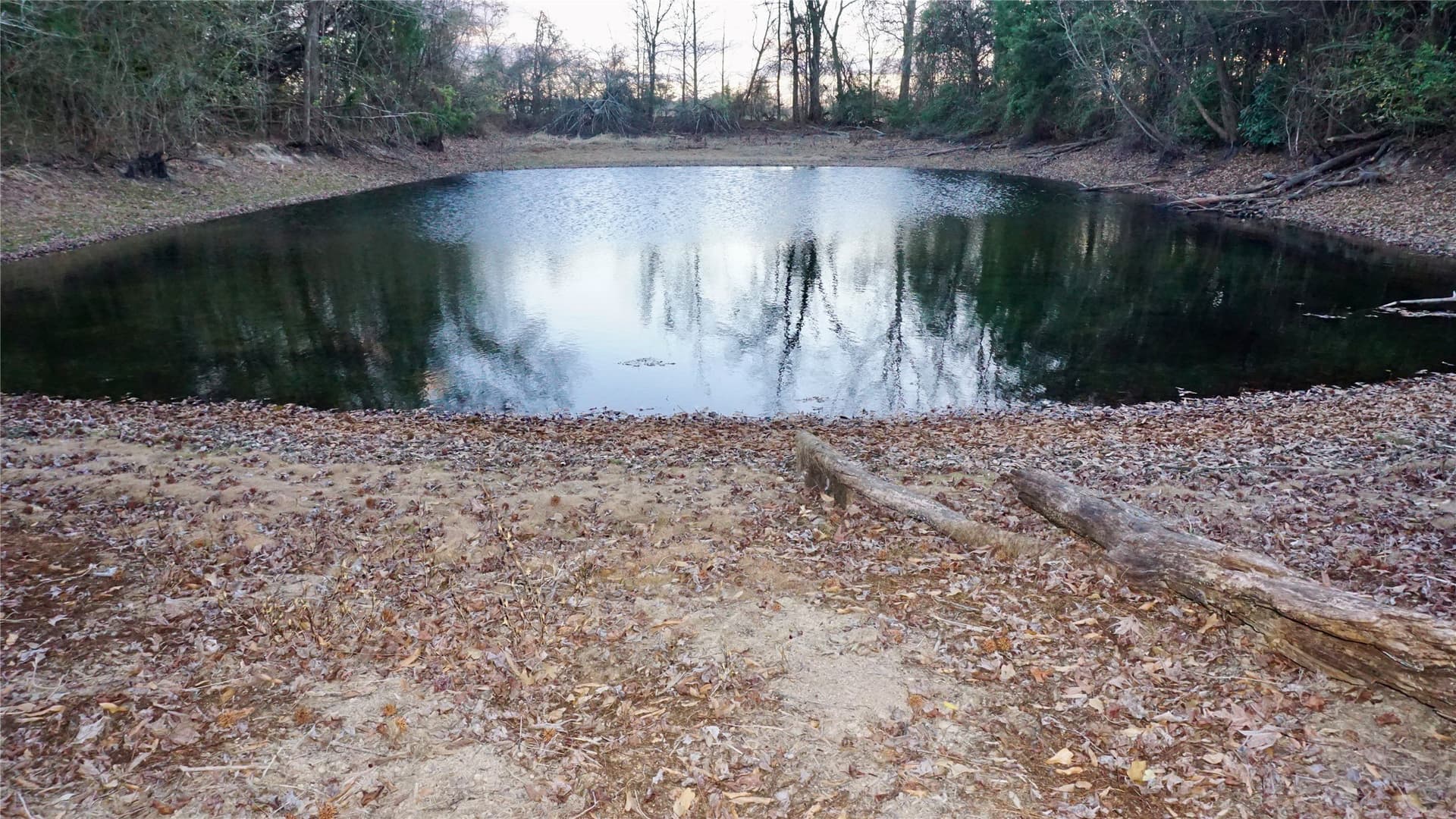 22.76 acres in Wood County - photo 8