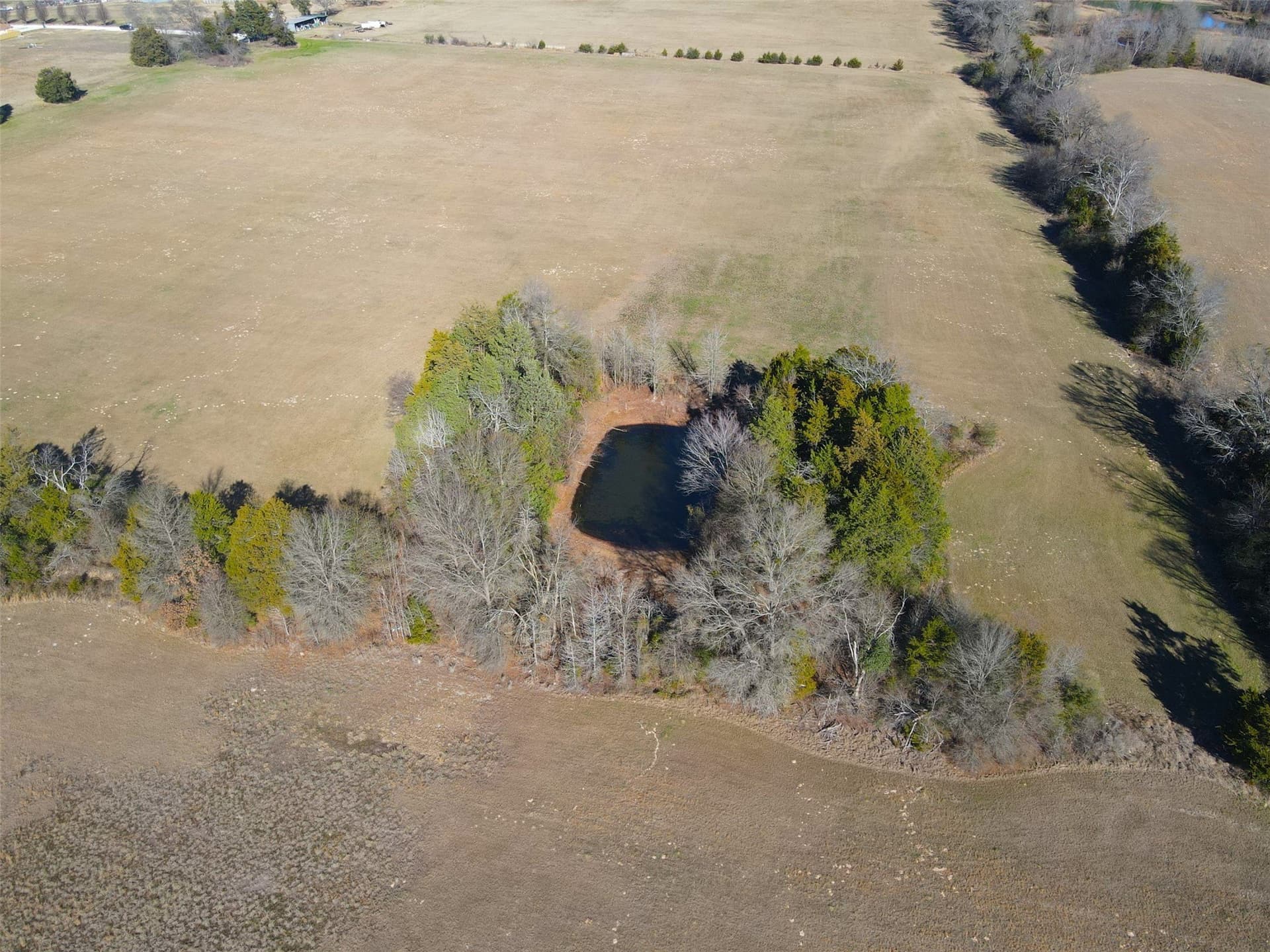 22.76 acres in Wood County - photo 27