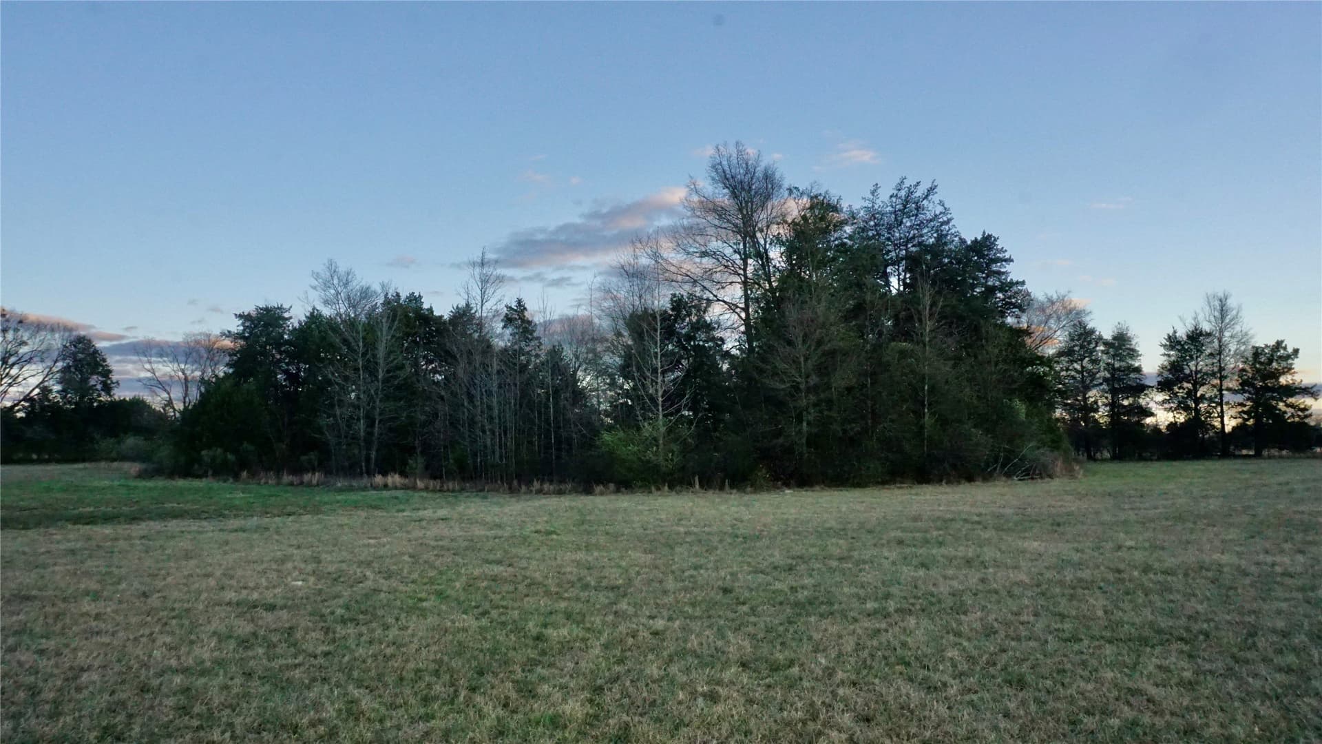 22.76 acres in Wood County - photo 13