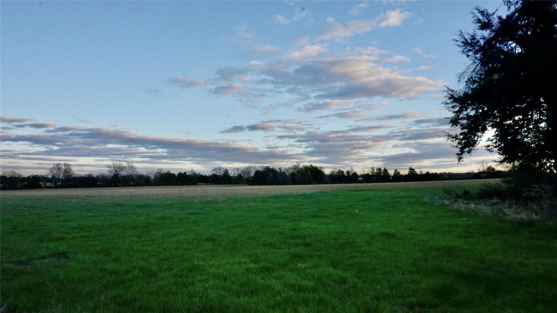 22.76 acres in Wood County - photo 12