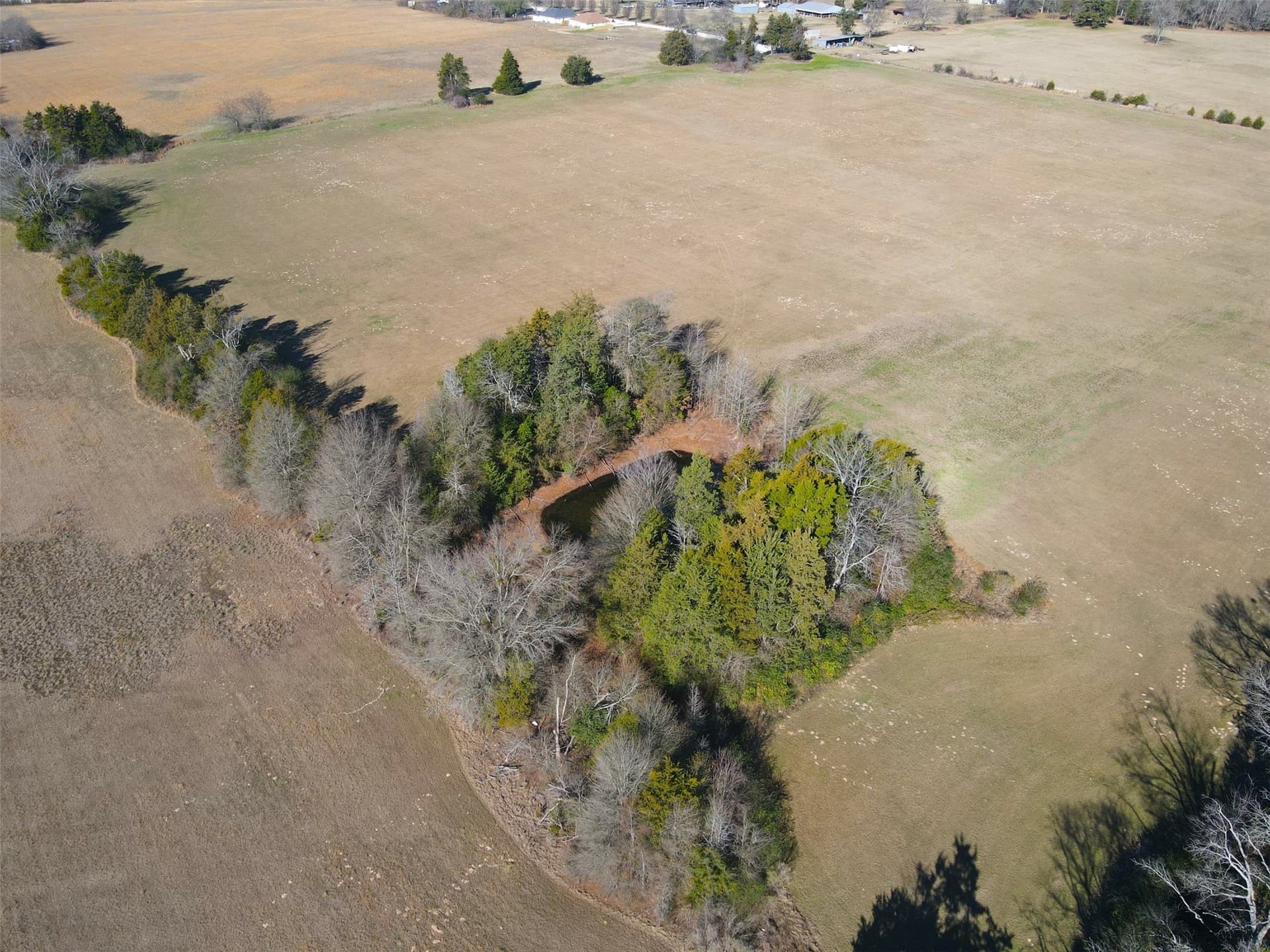 22.76 acres in Wood County - photo 26