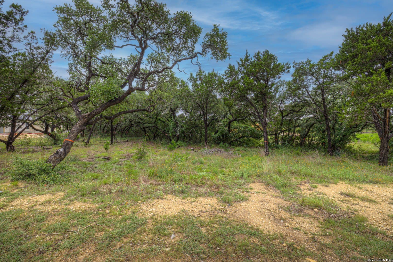 0.99 acres in Bexar County - photo 7