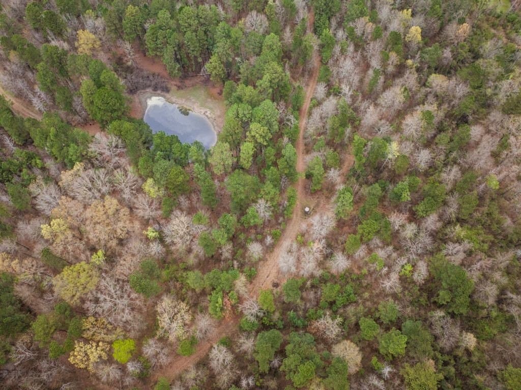 65.17 acres in Morris County - photo 8