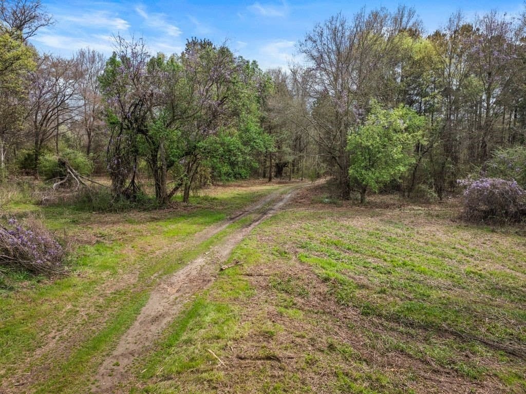 65.17 acres in Morris County - photo 5