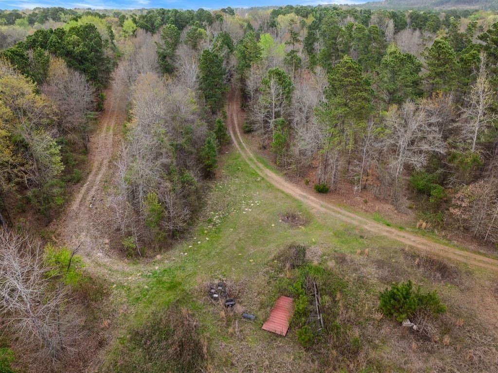 65.17 acres in Morris County - photo 13
