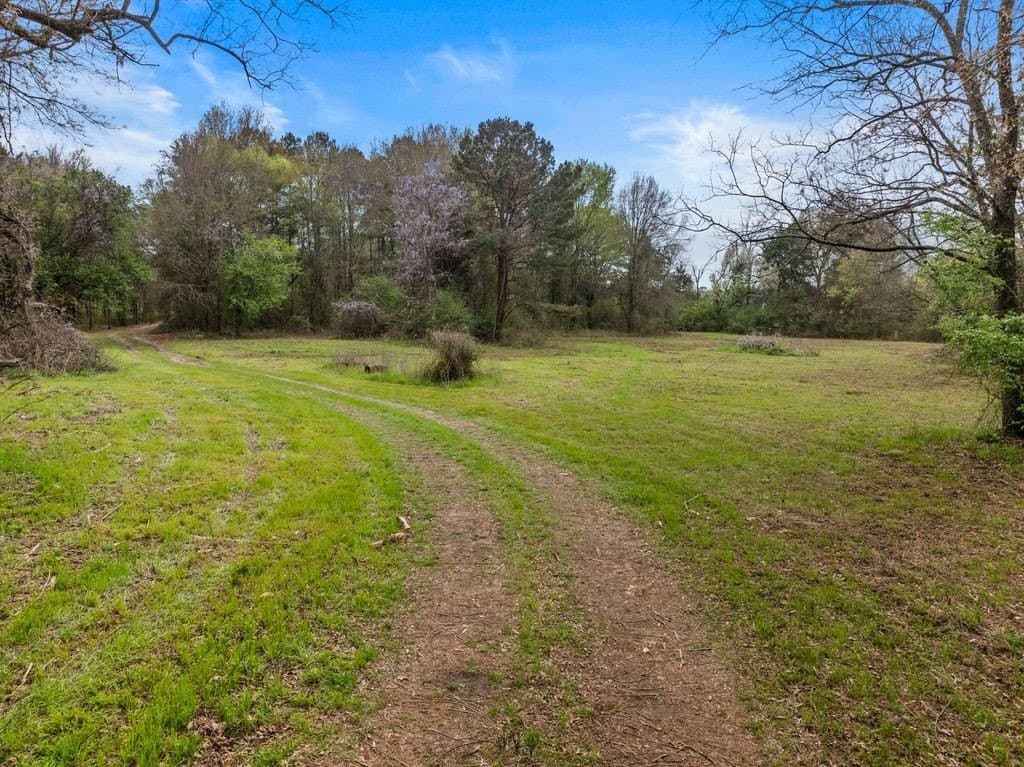 65.17 acres in Morris County - photo 3