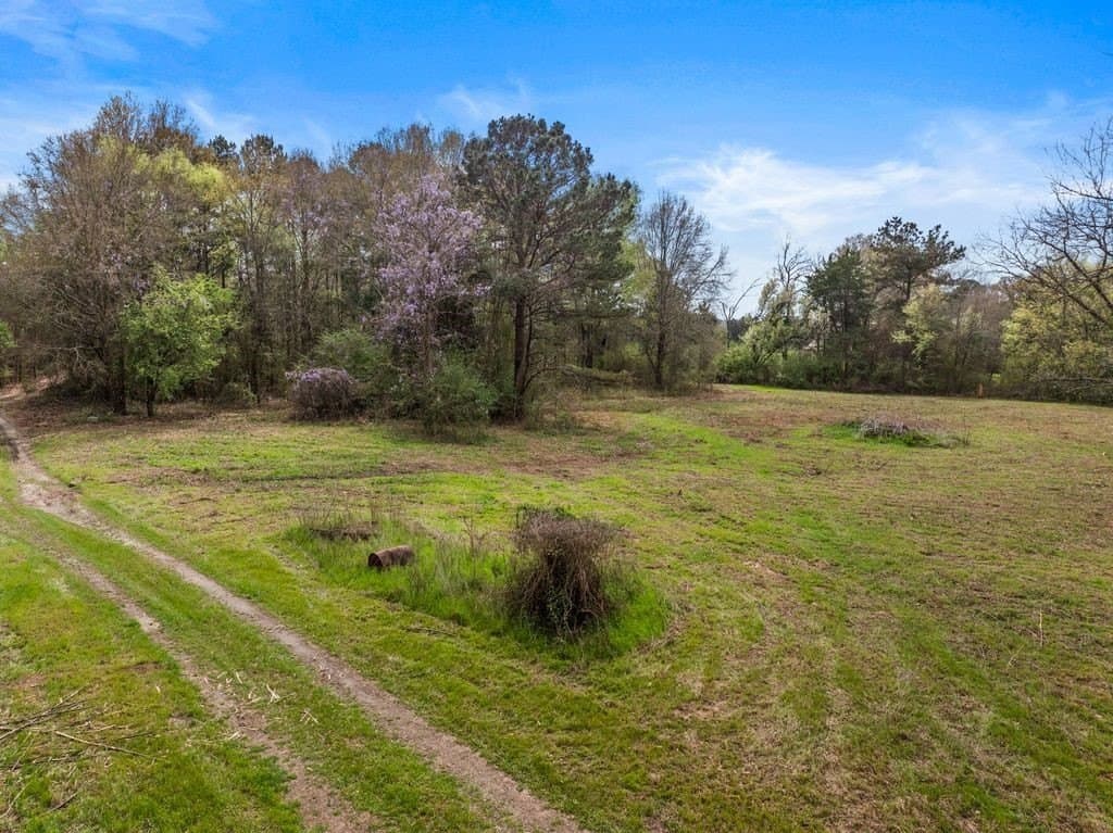 65.17 acres in Morris County - photo 4