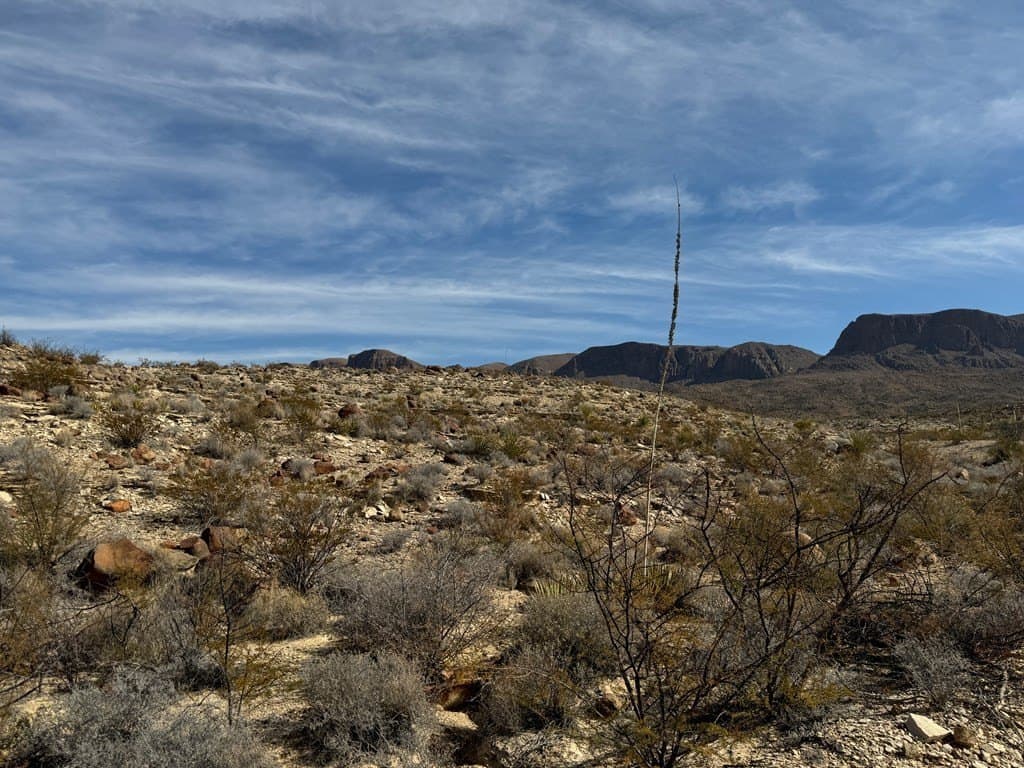 20 acres in Brewster County - photo 15