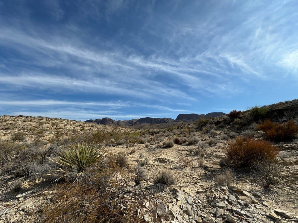 20 acres in Brewster County featured view