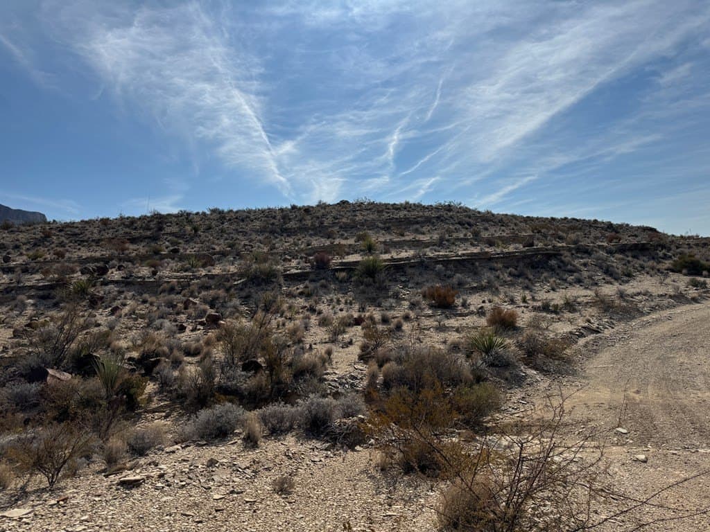 20 acres in Brewster County gallery image 4